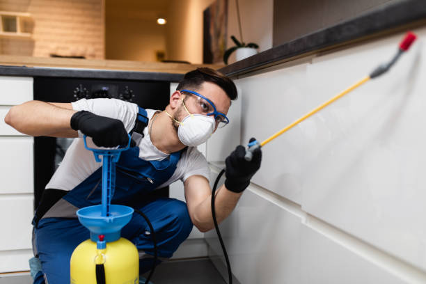 Best Affordable Pest Control Services  in Three Points, AZ